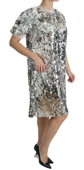 Dolce & Gabbana Silver Sequined Crystal Shift Gown Dress -   -  Dolce & Gabbana.