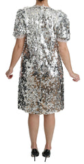 Dolce & Gabbana Silver Sequined Crystal Shift Gown Dress -   -  Dolce & Gabbana.