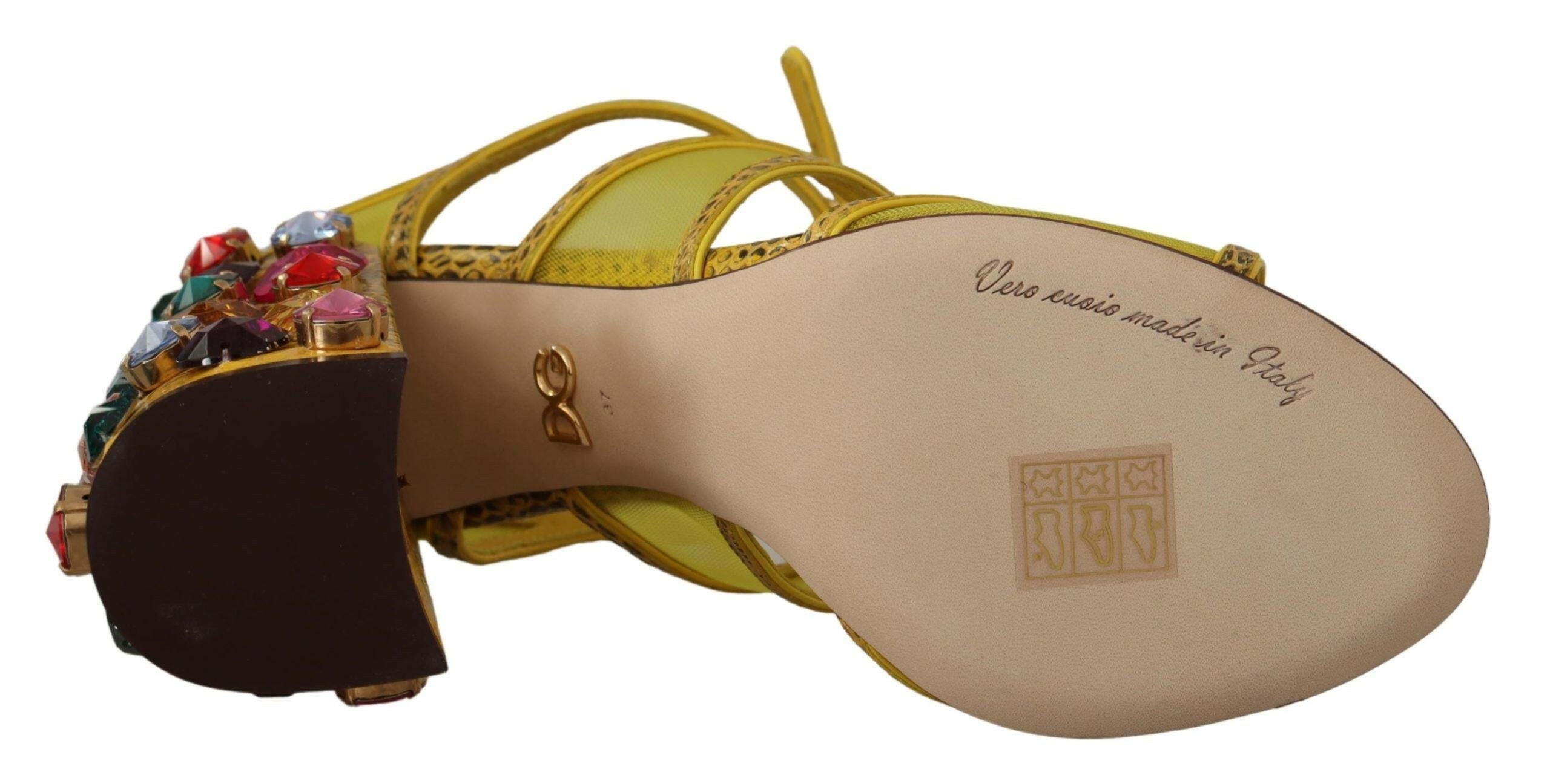 Dolce & Gabbana Yellow Leather Crystal Ayers Sandals Shoes -   -  Dolce & Gabbana. Dolce & Gabbana Yellow Leather Crystal Ayers Sandals Shoes -   -  Dolce & Gabbana.