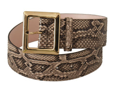 Dolce & Gabbana Beige Exotic Leather Wide Gold Metal Buckle Belt -   -  Dolce & Gabbana.