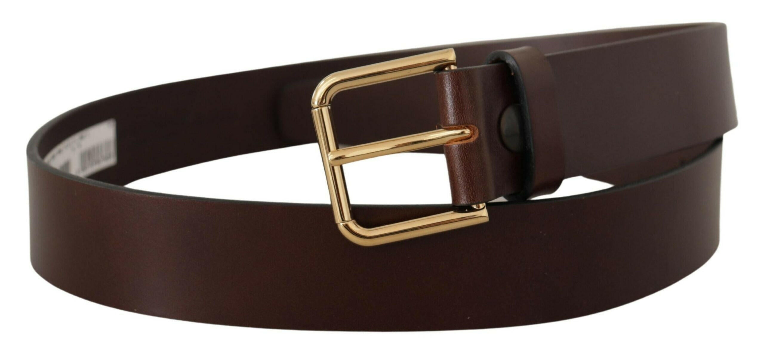 Dolce & Gabbana Brown Plain Calf Leather Gold Tone Buckle Belt -   -  Dolce & Gabbana. Dolce & Gabbana Brown Plain Calf Leather Gold Tone Buckle Belt -   -  Dolce & Gabbana.