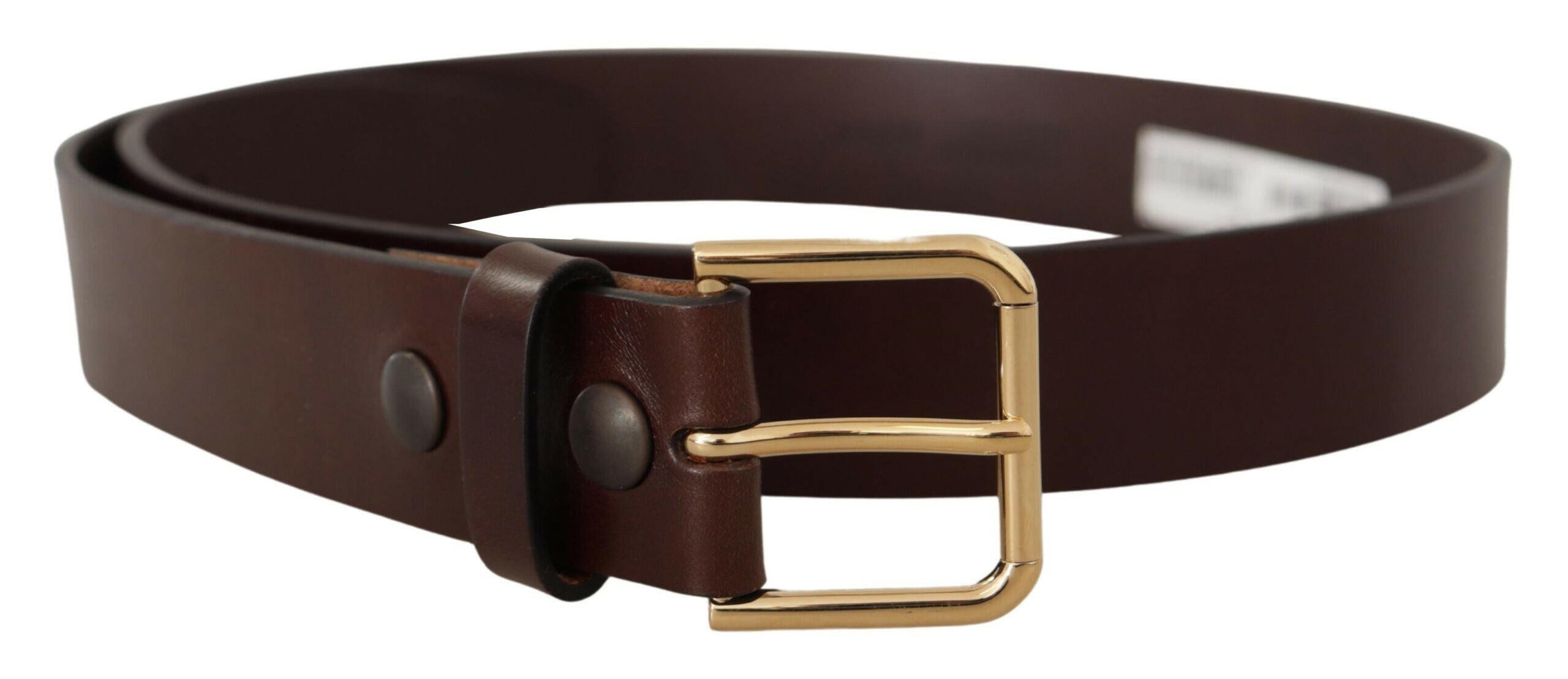 Dolce & Gabbana Brown Polished Leather Gold Tone Metal Buckle Belt - - Dolce & Gabbana.