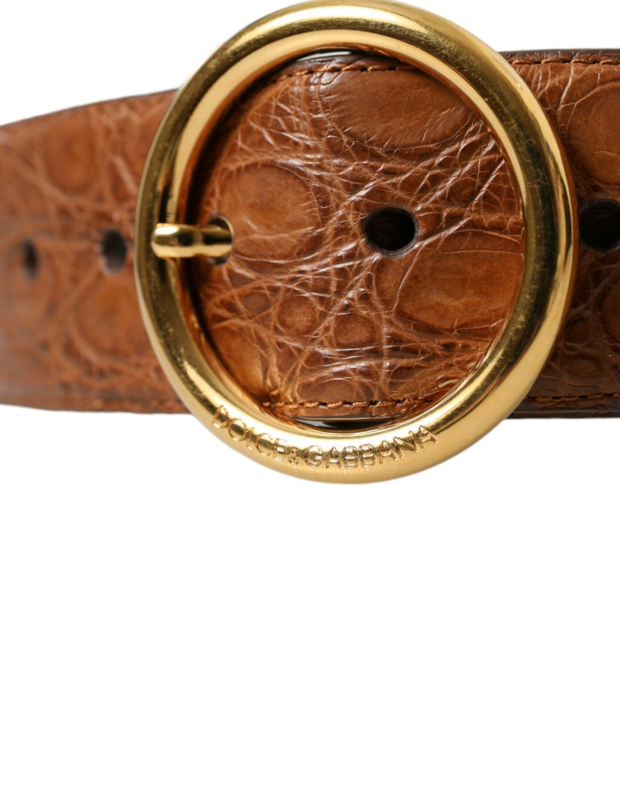Dolce & Gabbana Brown Exotic Leather Round Buckle Belt -   -  Dolce & Gabbana. Dolce & Gabbana Brown Exotic Leather Round Buckle Belt -   -  Dolce & Gabbana.