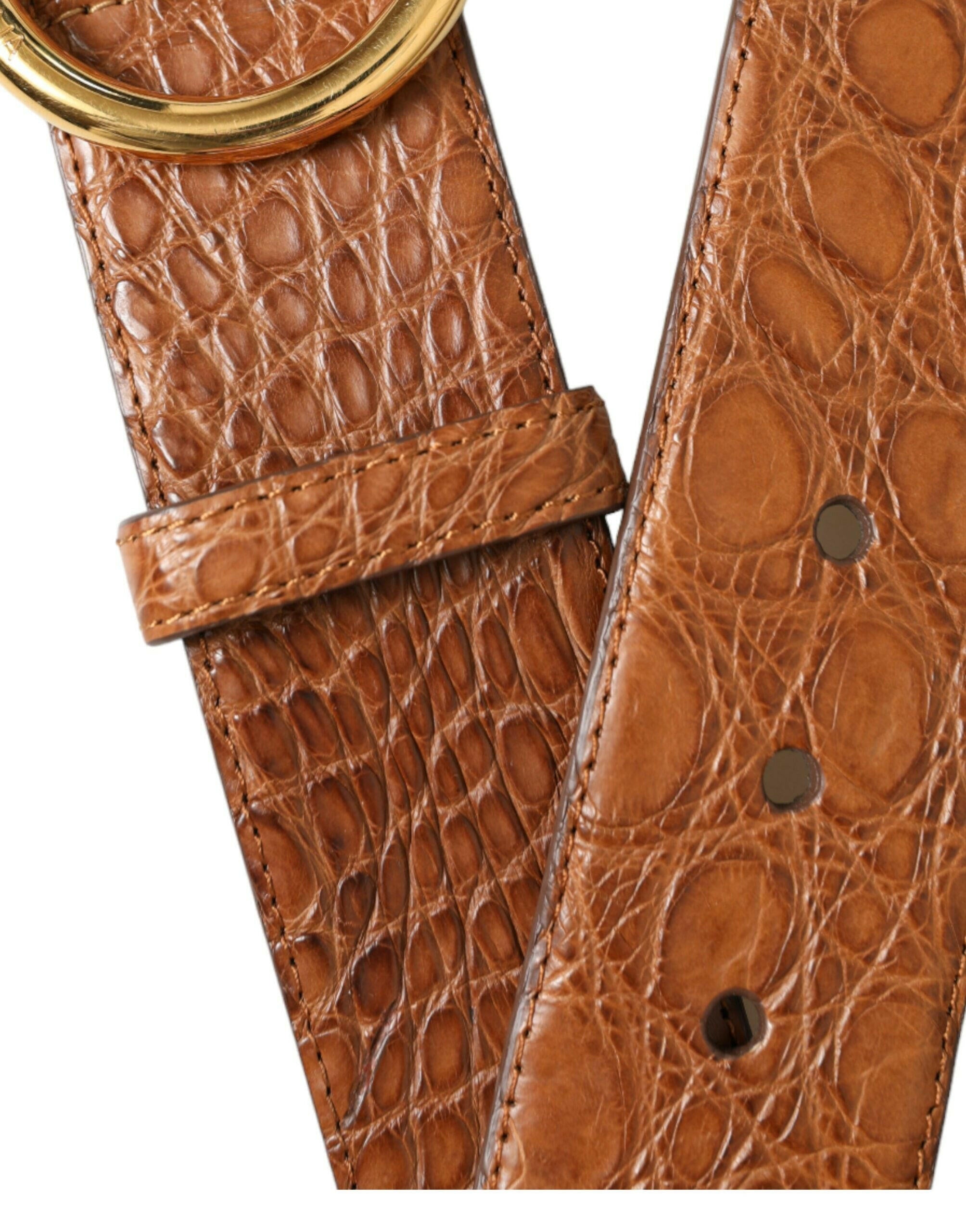 Dolce & Gabbana Brown Exotic Leather Round Buckle Belt -   -  Dolce & Gabbana. Dolce & Gabbana Brown Exotic Leather Round Buckle Belt -   -  Dolce & Gabbana.