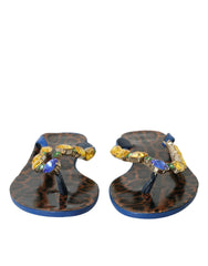 Dolce & Gabbana Blue Crystal Calf Leather Beachwear Shoes -   -  Dolce & Gabbana.