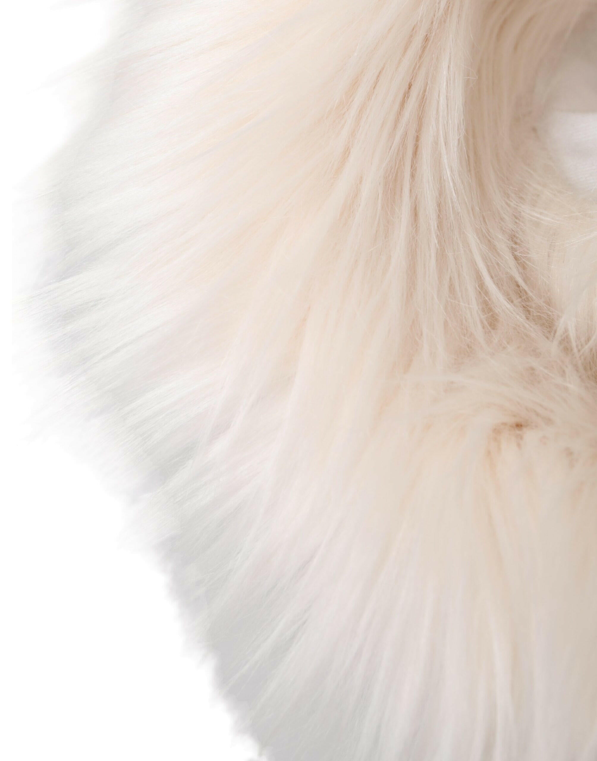 Dolce & Gabbana White Acrylic Fur Womens Bucket Hat -   -  Dolce & Gabbana. Dolce & Gabbana White Acrylic Fur Womens Bucket Hat -   -  Dolce & Gabbana.