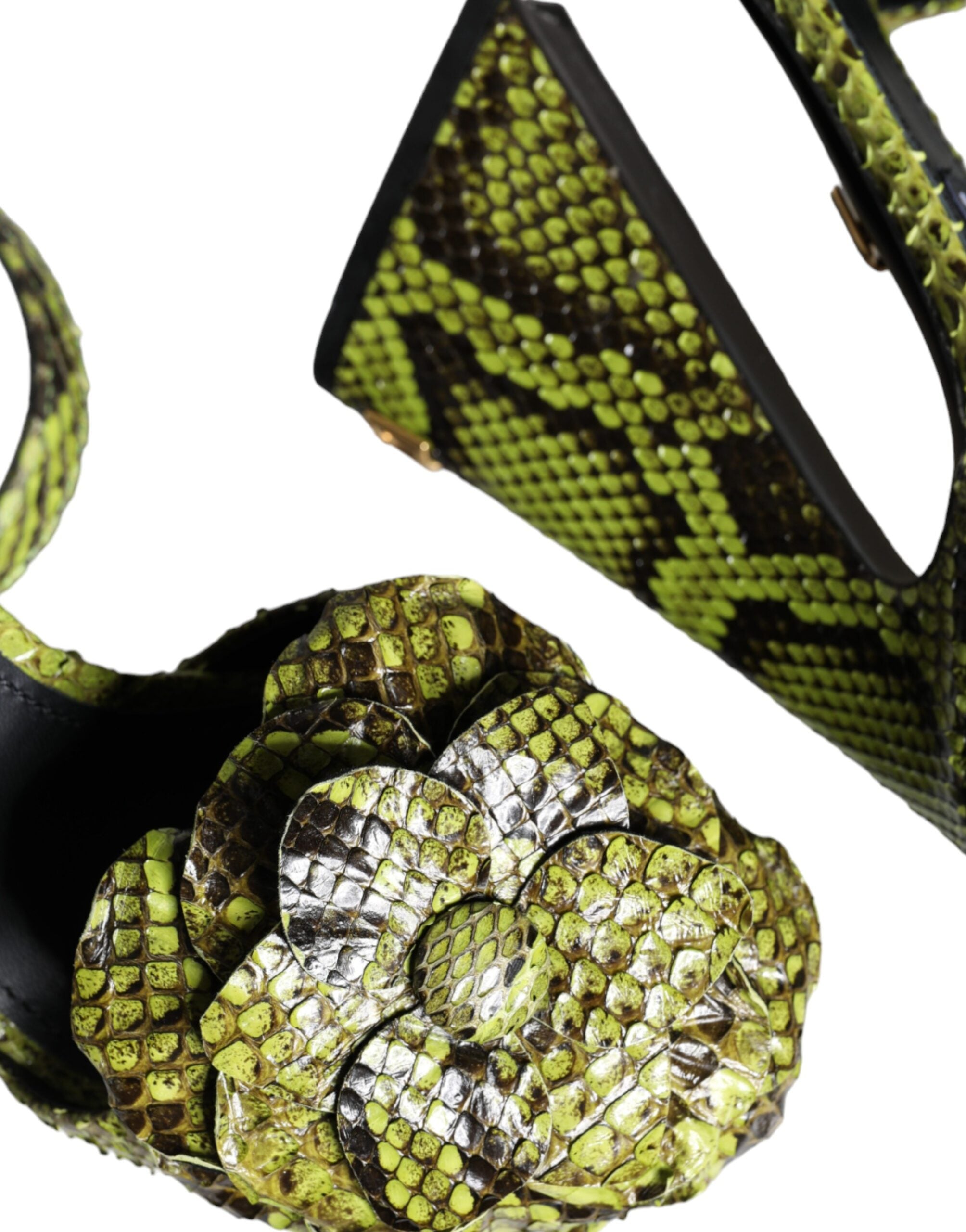 Dolce & Gabbana Green Exotic Leather Ankle Strap Heels Sandals Shoes -   -  Dolce & Gabbana. Dolce & Gabbana Green Exotic Leather Ankle Strap Heels Sandals Shoes -   -  Dolce & Gabbana.