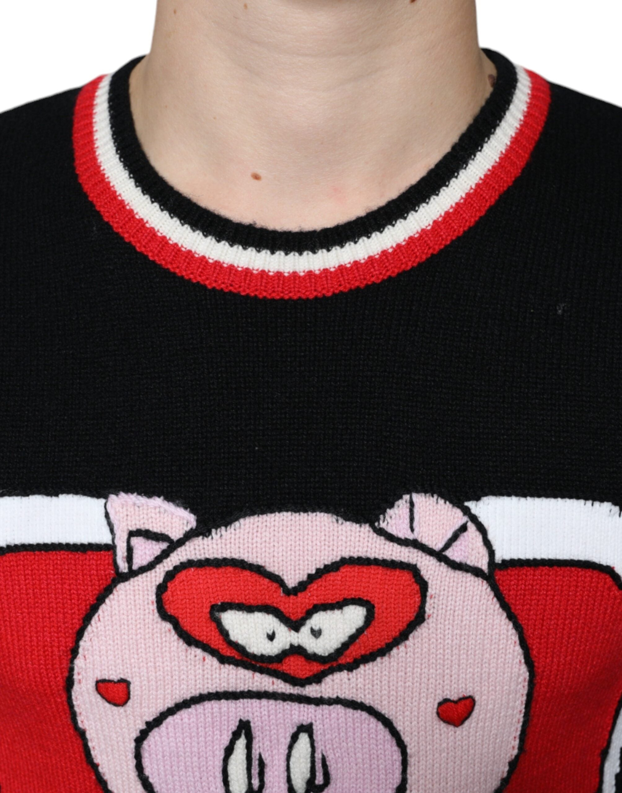 Dolce & Gabbana Black Cashmere Pig of the Year Pullover Sweater -   -  Dolce & Gabbana. Dolce & Gabbana Black Cashmere Pig of the Year Pullover Sweater -   -  Dolce & Gabbana.