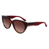 Lacoste Brown Acetate Sunglasses -   -  Lacoste.
