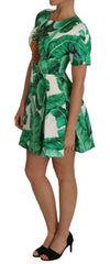 Dolce & Gabbana A-Line Banana Leaf Pineapple Crystal Dress -   -  Dolce & Gabbana.