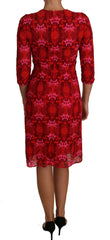 Dolce & Gabbana Floral Crochet Lace Red Pink Sheath Dress -   -  Dolce & Gabbana.
