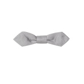 Dolce & Gabbana Gray Silk Bowty -  Neckties, Men -  Dolce & Gabbana.