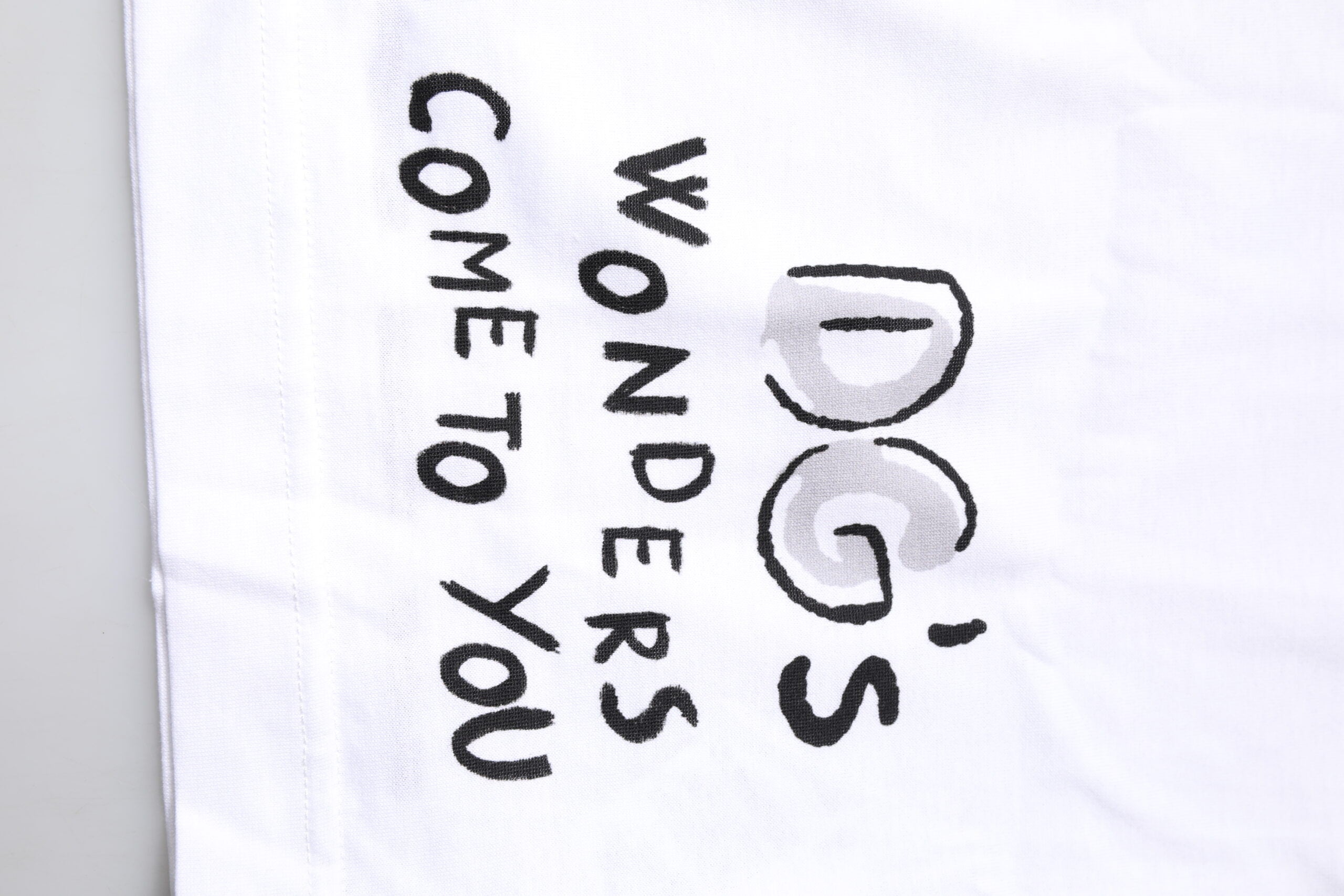 Dolce & Gabbana White Short-Sleeved Printed Jersey T-shirt -   -  Dolce & Gabbana. Dolce & Gabbana White Short-Sleeved Printed Jersey T-shirt -   -  Dolce & Gabbana.