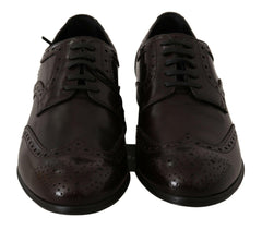Dolce & Gabbana Brown Leather Broques Oxford Wingtip Shoes -   -  Dolce & Gabbana.