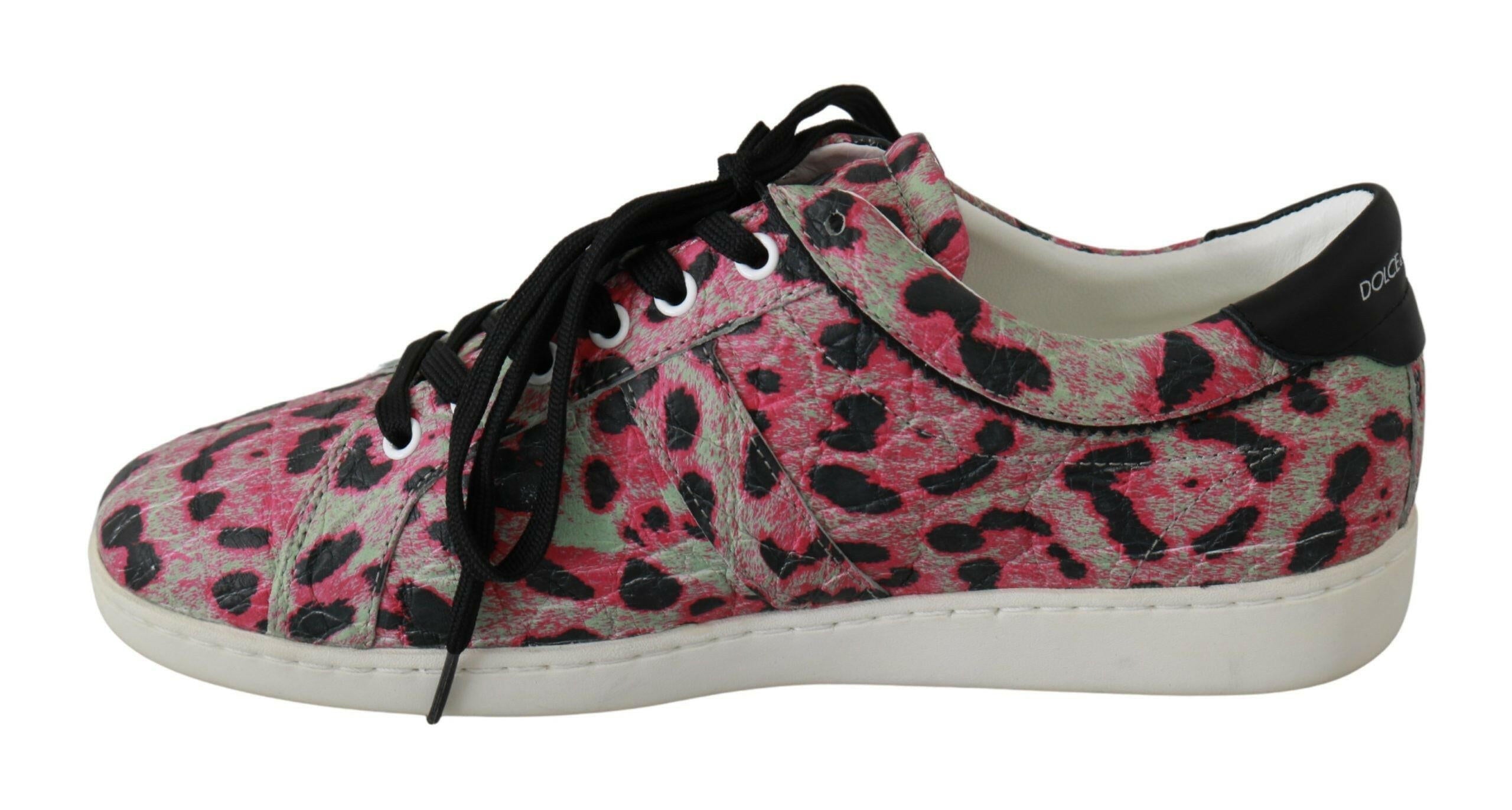 Dolce & Gabbana Pink Leopard Print Training Leather Flat Sneakers -   -  Dolce & Gabbana.