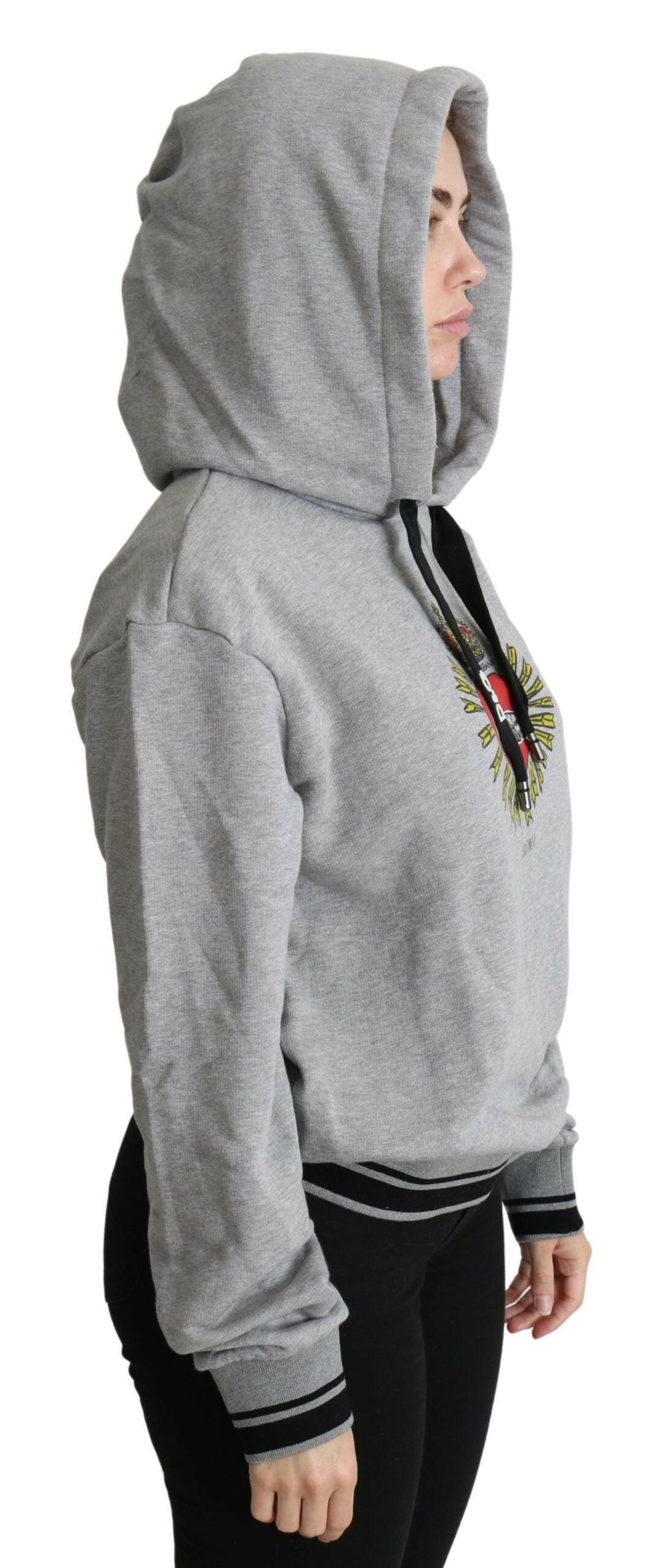 Dolce & Gabbana Gray Printed Hooded Exclusive Logo Sweater -   -  Dolce & Gabbana.