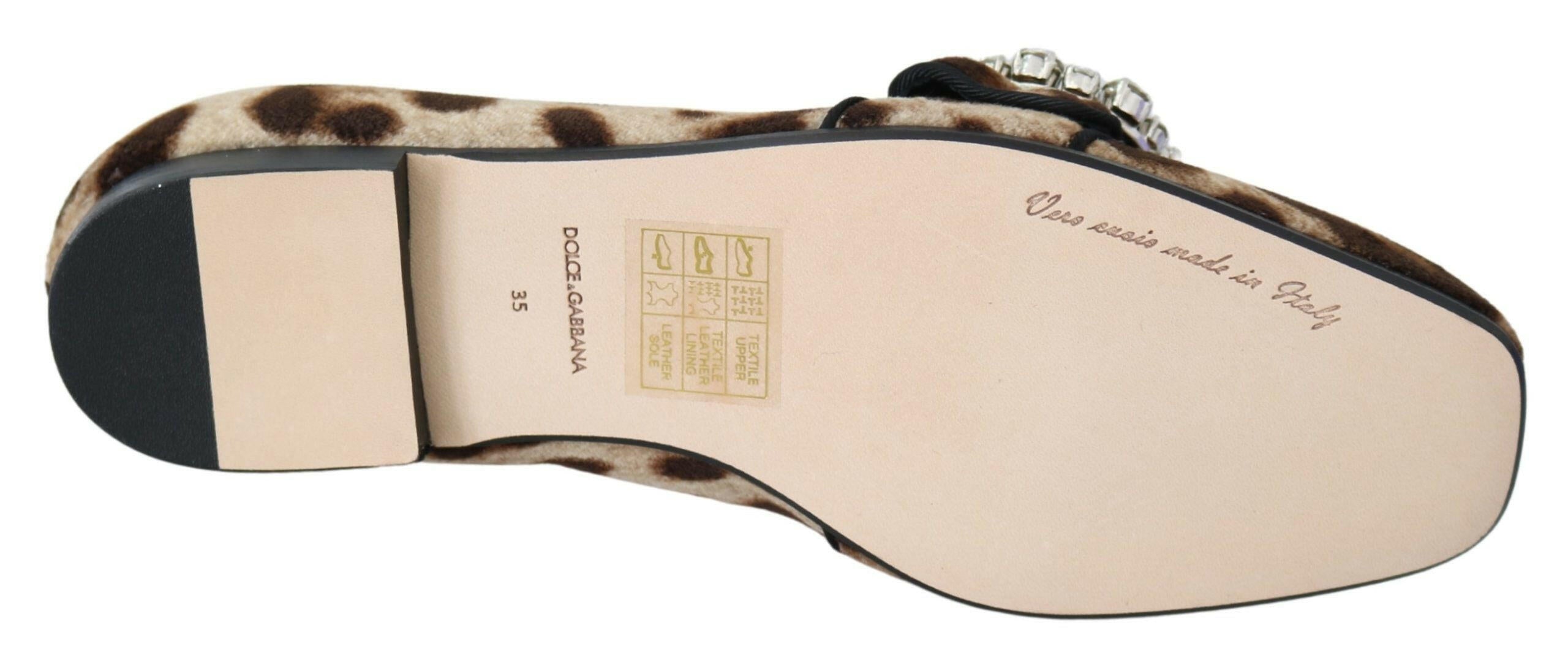 Dolce & Gabbana Brown Leopard Print Crystals Loafers Flats Shoes -   -  Dolce & Gabbana.