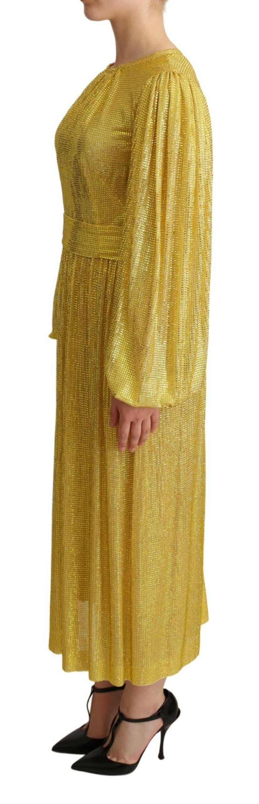Dolce & Gabbana Yellow Crystal Mesh Pleated Maxi Dress -   -  Dolce & Gabbana.