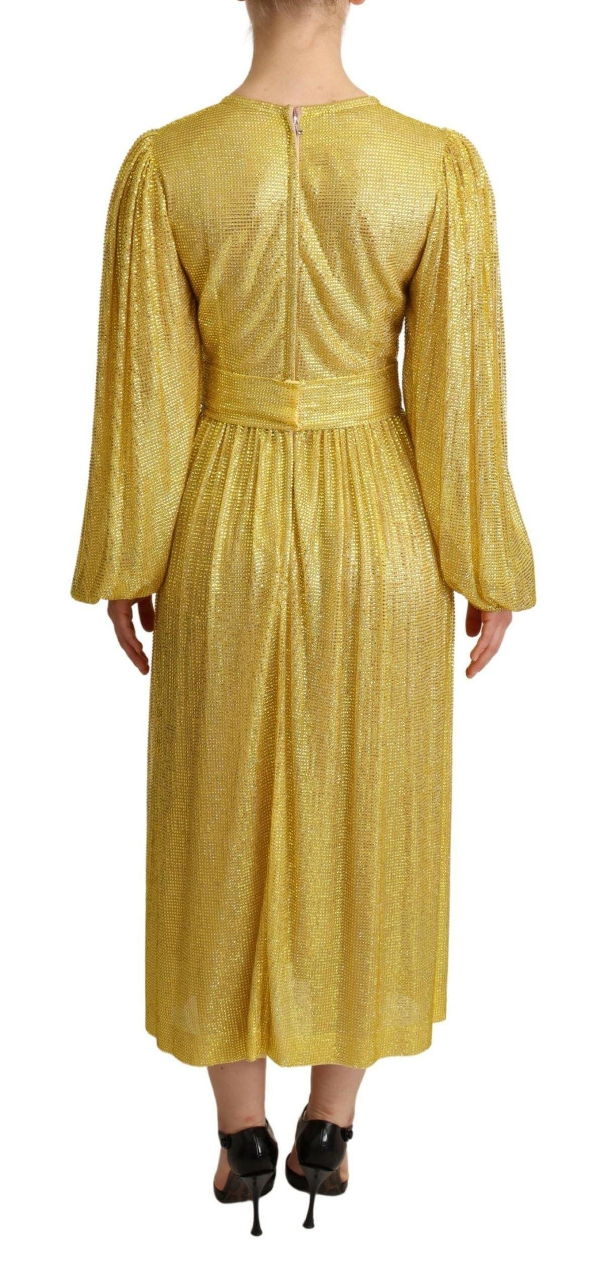 Dolce & Gabbana Yellow Crystal Mesh Pleated Maxi Dress -   -  Dolce & Gabbana.