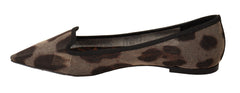 Dolce & Gabbana Brown Leopard Ballerina Flat Loafers Shoes -   -  Dolce & Gabbana.