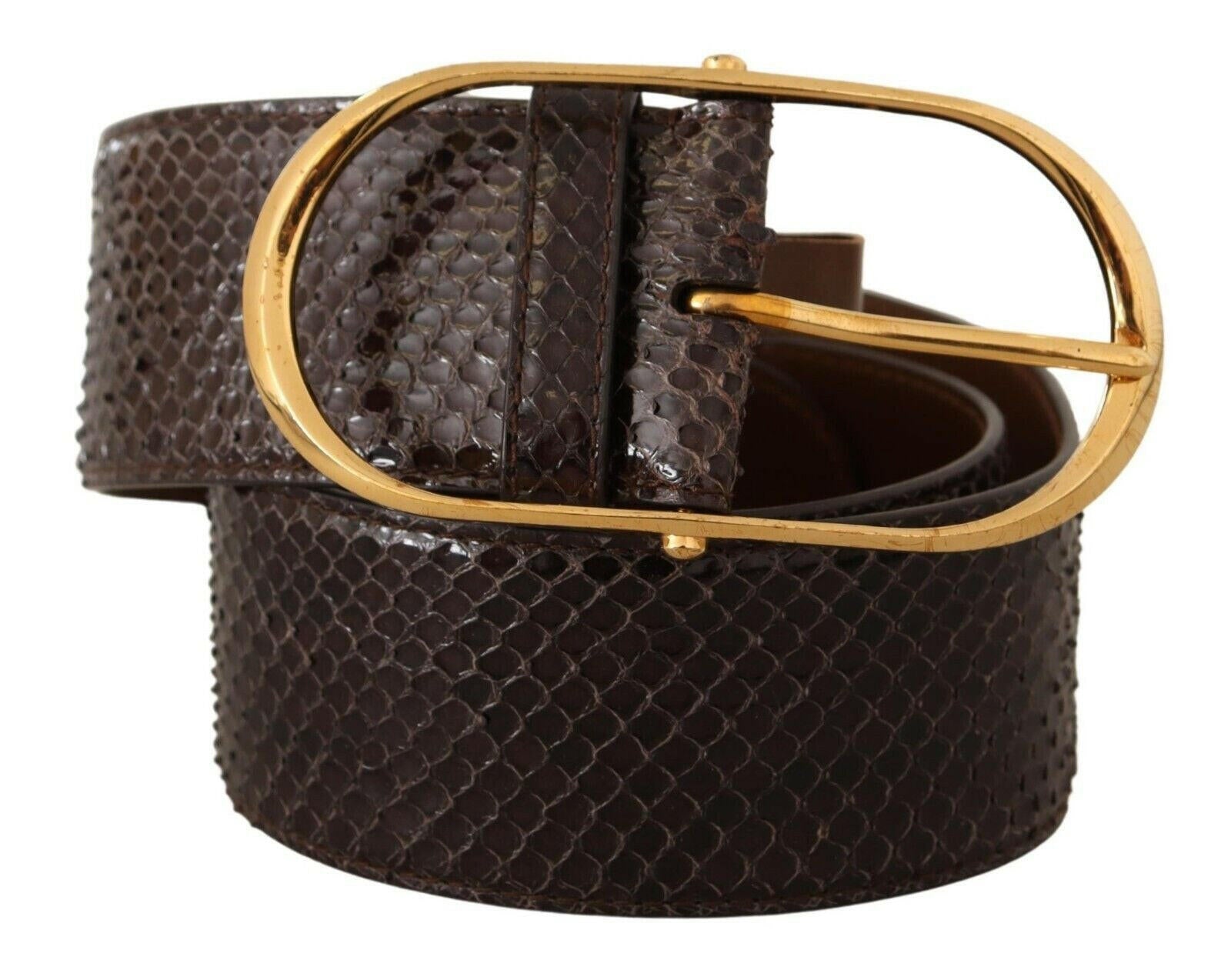Dolce & Gabbana Brown Exotic Leather Gold Oval Buckle Belt -   -  Dolce & Gabbana.