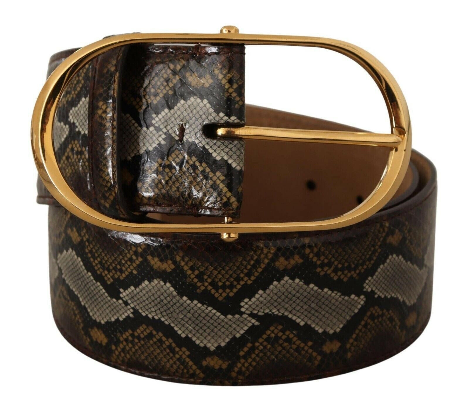 Dolce & Gabbana Brown Python Leather Gold Oval Buckle Belt -   -  Dolce & Gabbana.
