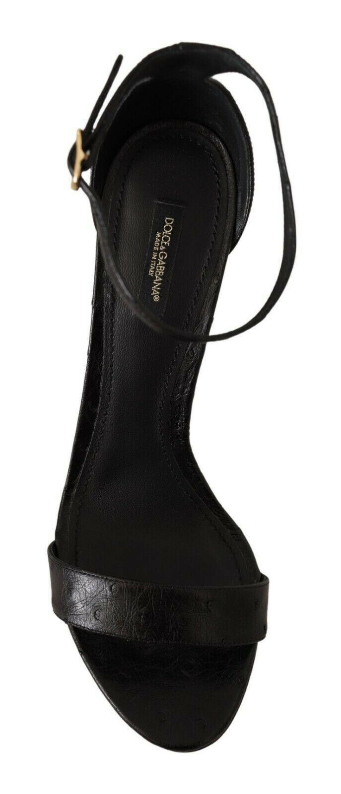 Dolce & Gabbana Black Ostrich Ankle Strap Heels Sandals Shoes -   -  Dolce & Gabbana.