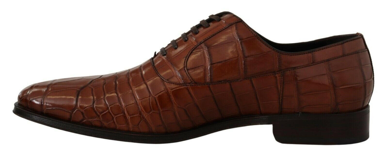 Dolce & Gabbana Brown Crocodile Leather Mens Formal Derby Shoes -   -  Dolce & Gabbana.