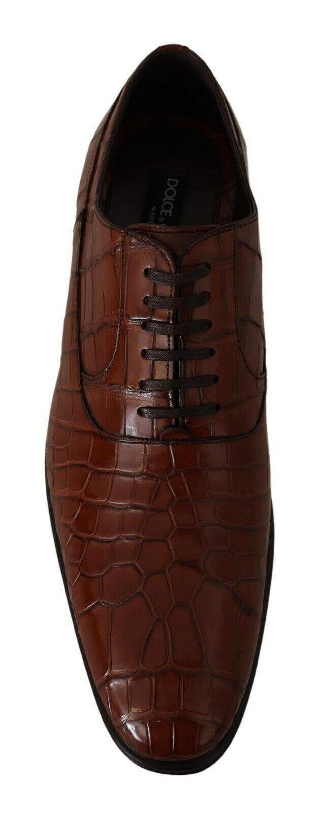 Dolce & Gabbana Brown Crocodile Leather Mens Formal Derby Shoes -   -  Dolce & Gabbana.