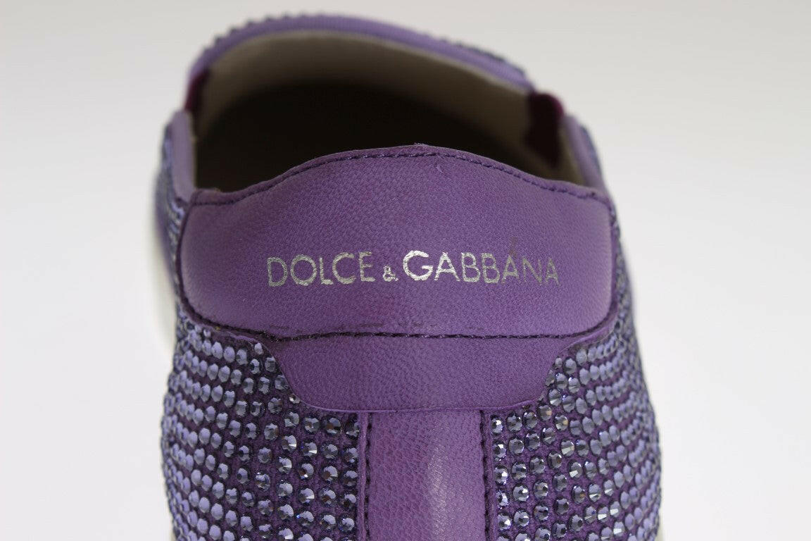 Dolce & Gabbana Purple Strass Canvas Logo Sneakers -   -  Dolce & Gabbana.