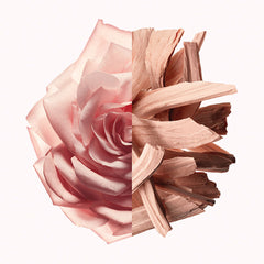Women's Perfume Givenchy IRRESISTIBLE NUDE VELVET EDP 35 ml -  Beauty, Perfumes and fragrances -  Givenchy.