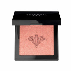 Eyeshadow Stendhal Nº 300 8 ml Highlighter.