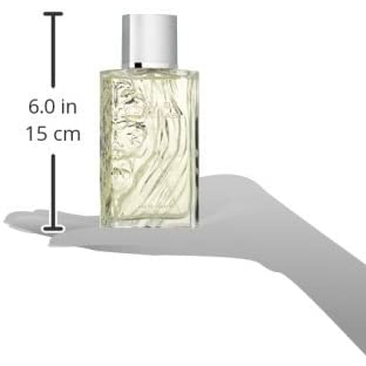 Men's Perfume Rochas Eau De Rochas EDT 100 ml -  Beauty, Perfumes and fragrances -  Rochas.