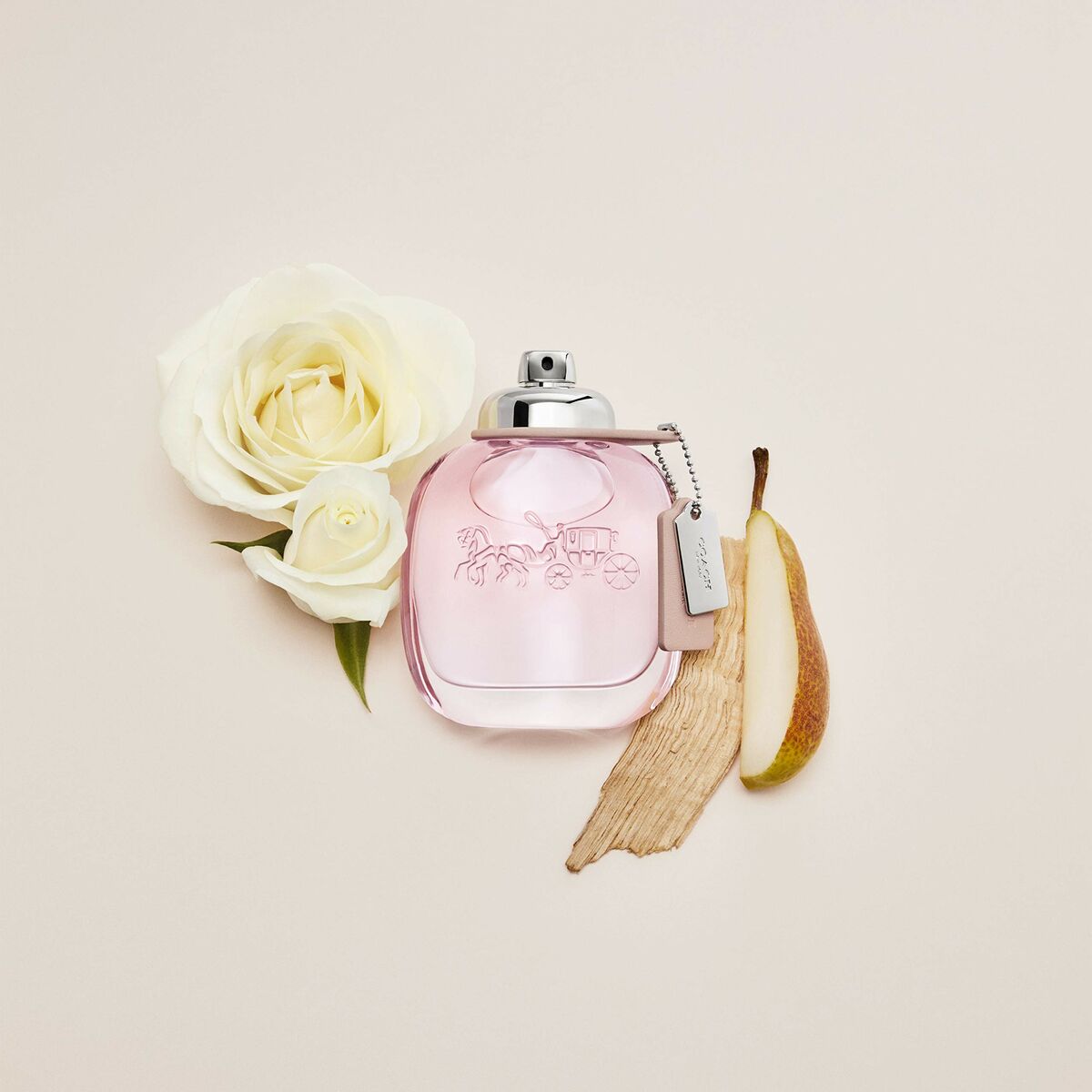 Women's Perfume Coach W-8907 EDT -  Beauty, Perfumes and fragrances -  Coach.