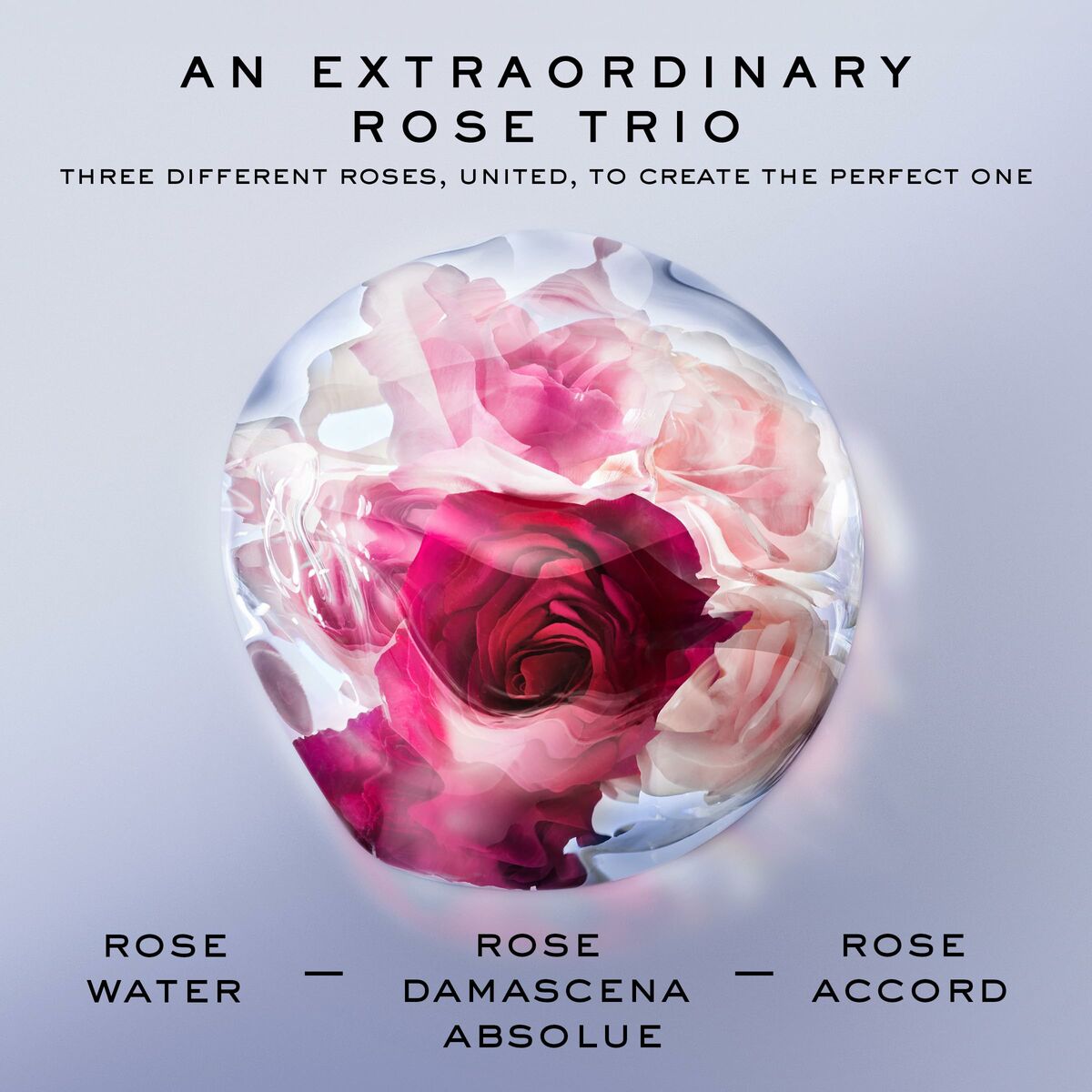 Women's Perfume Lancôme La Vie Est Belle Rose Extraordinaire EDP EDP 50 ml -  Beauty, Perfumes and fragrances -  Lancôme.