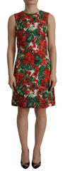 Dolce & Gabbana Multicolor Geranium Cotton Knee Length Dress -   -  Dolce & Gabbana.