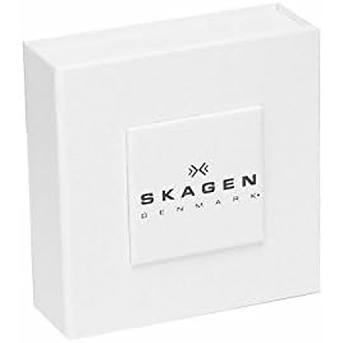 Ladies' Earrings Skagen SKJ1490040 Silver -  Jewellery, Women -  Skagen.