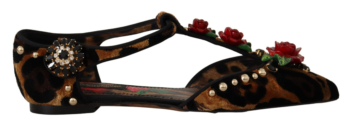 Dolce & Gabbana Brown Ballerina Embellished Leopard Print Shoes -   -  Dolce & Gabbana.