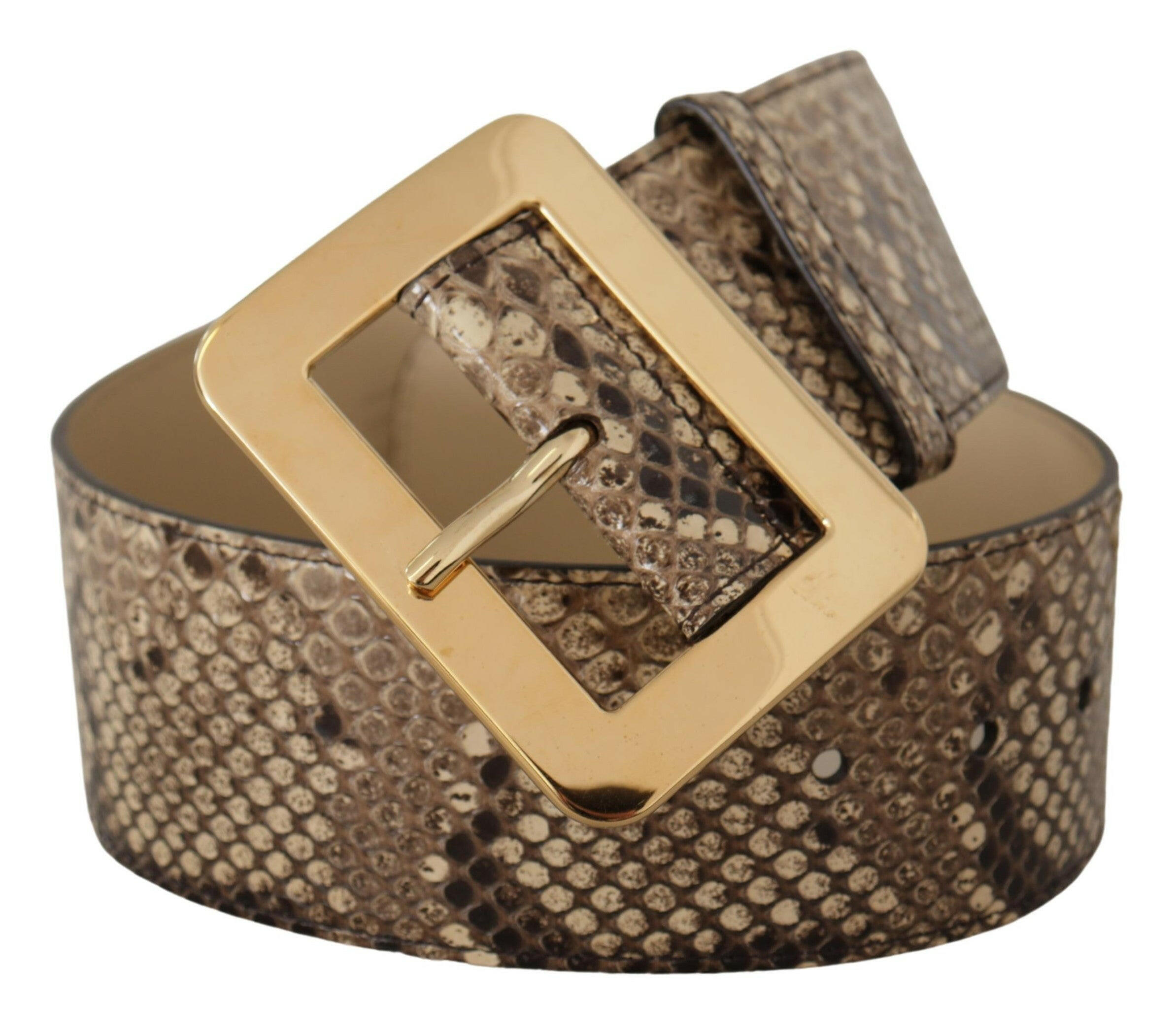 Dolce & Gabbana Brown Exotic Wide Waist Leather Gold Metal Buckle Belt -   -  Dolce & Gabbana.