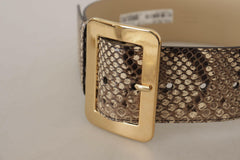 Dolce & Gabbana Brown Exotic Wide Waist Leather Gold Metal Buckle Belt -   -  Dolce & Gabbana.