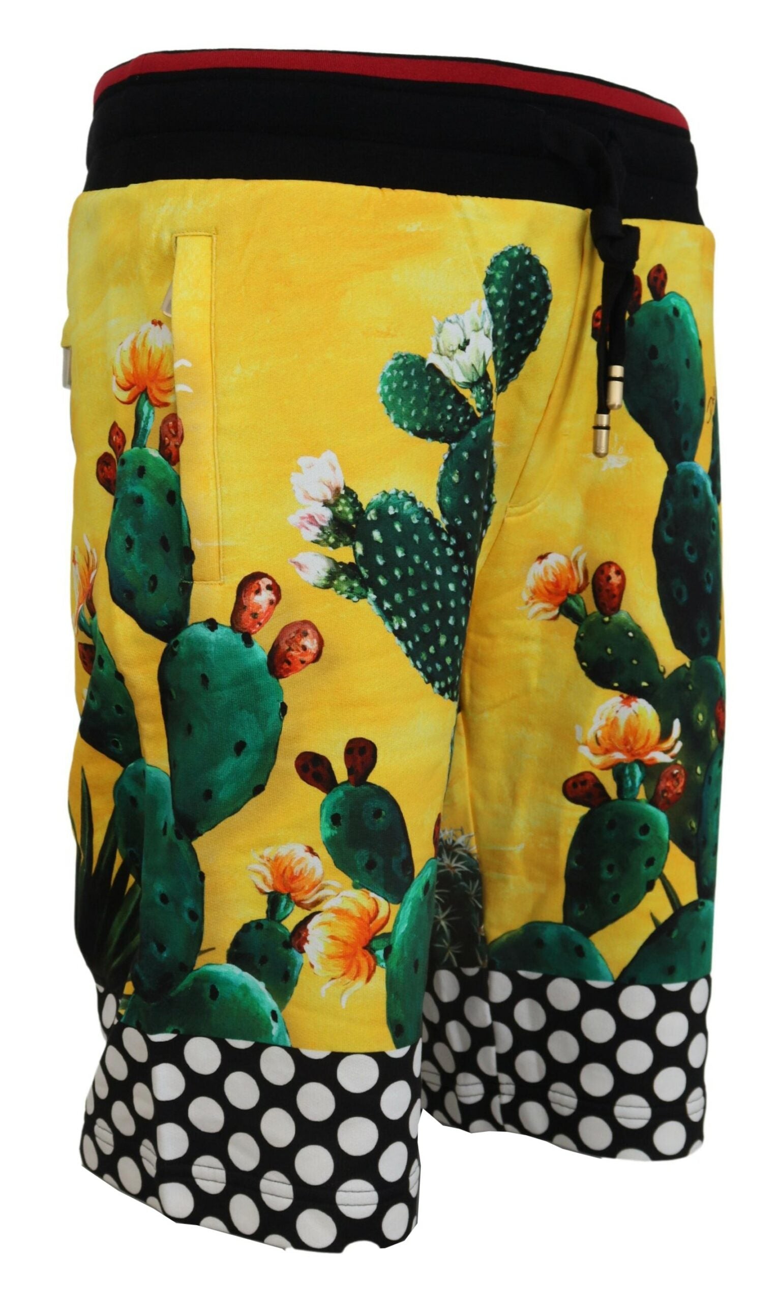 Dolce & Gabbana Multicolor Cactus Print Cotton Sweat Shorts -   -  Dolce & Gabbana.