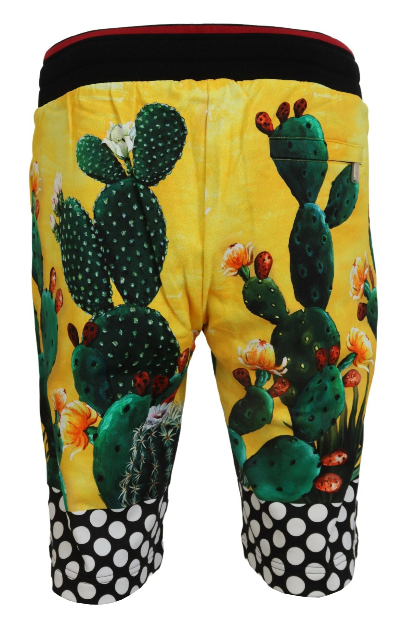 Dolce & Gabbana Multicolor Cactus Print Cotton Sweat Shorts -   -  Dolce & Gabbana.