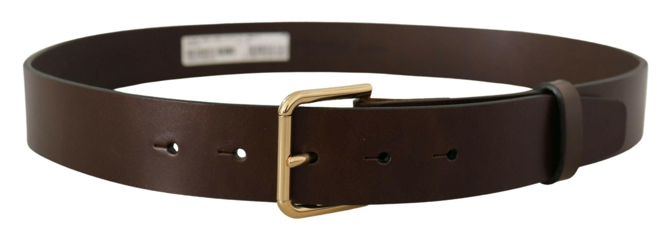 Dolce & Gabbana Brown Plain Calf Leather Gold Tone Buckle Belt -   -  Dolce & Gabbana.