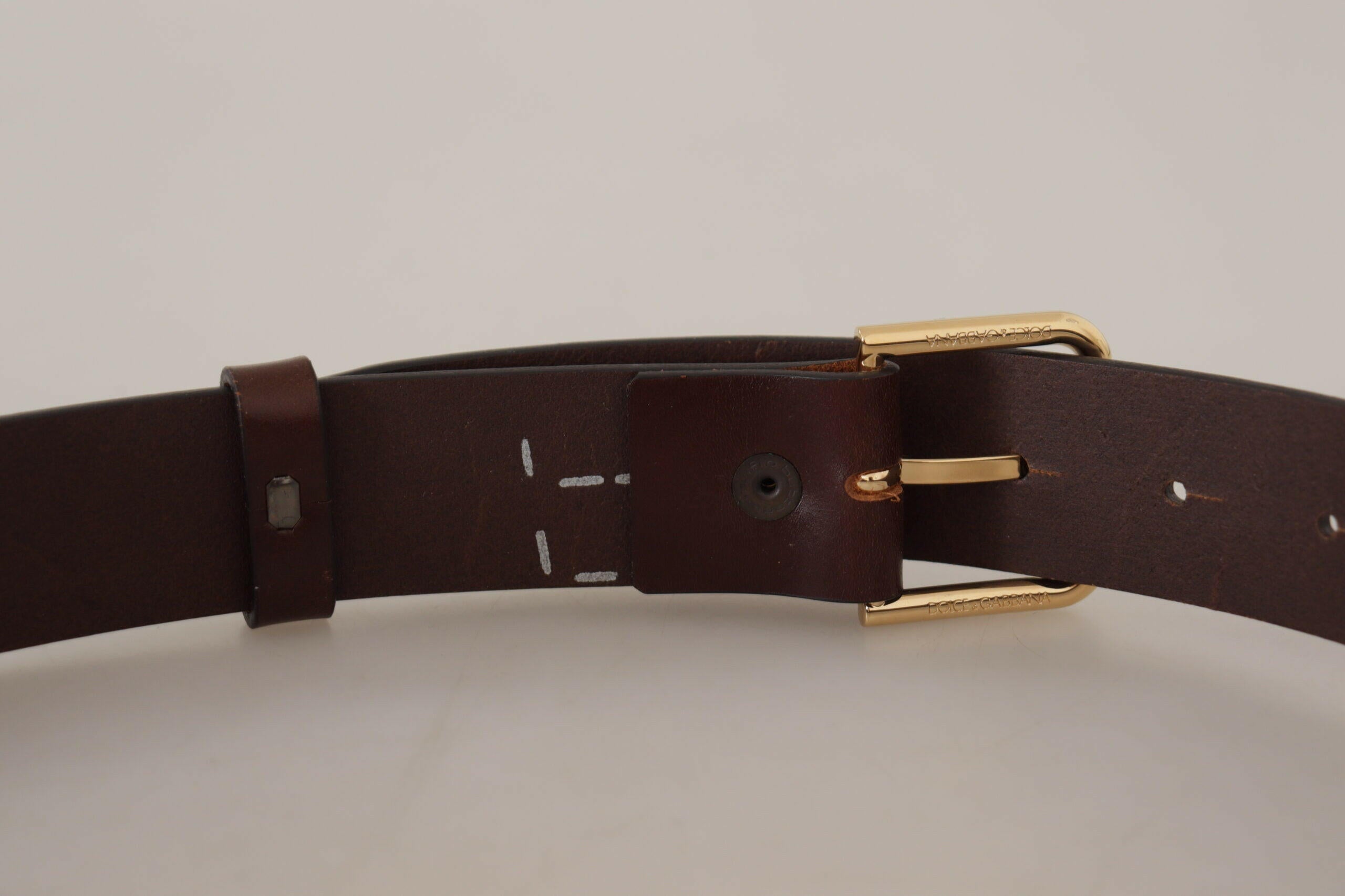 Dolce & Gabbana Brown Plain Calf Leather Gold Tone Buckle Belt -   -  Dolce & Gabbana.