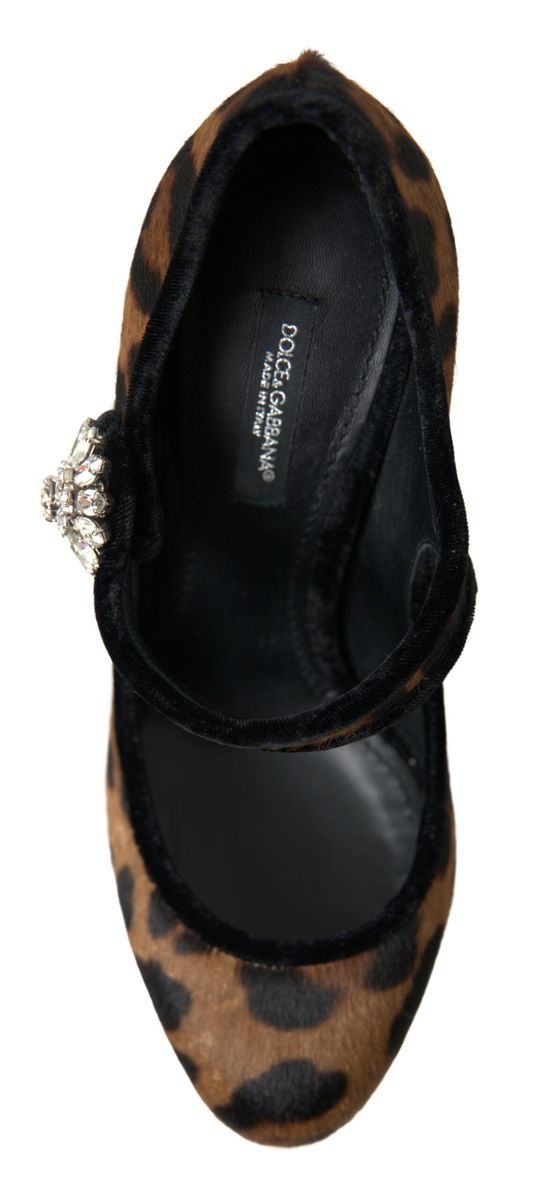 Dolce & Gabbana Black Brown Calf Leopard Heel Mary Jane Pump Shoes -   -  Dolce & Gabbana.