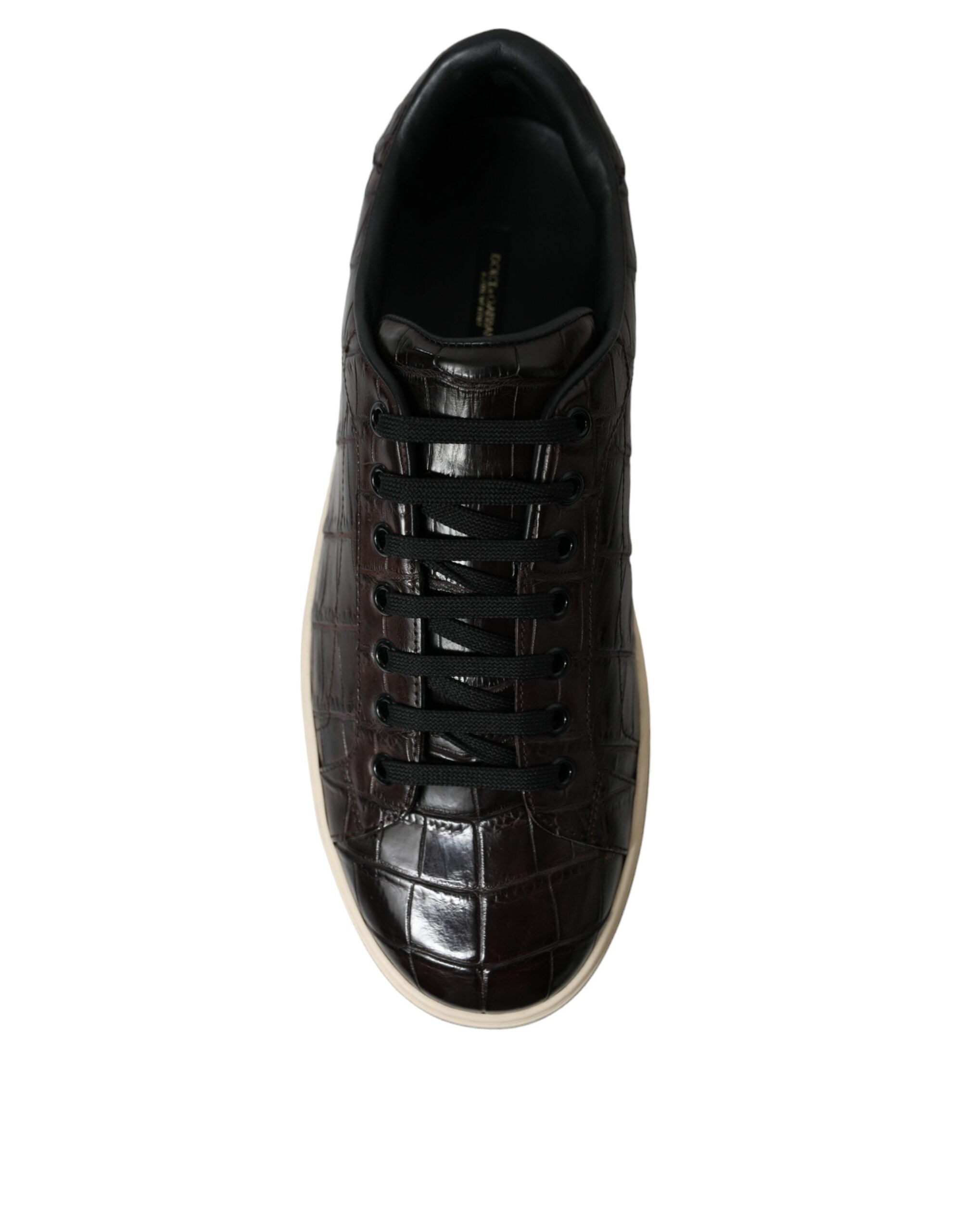 Dolce & Gabbana Brown Croc Exotic Leather Men Casual Sneakers Shoes -   -  Dolce & Gabbana.