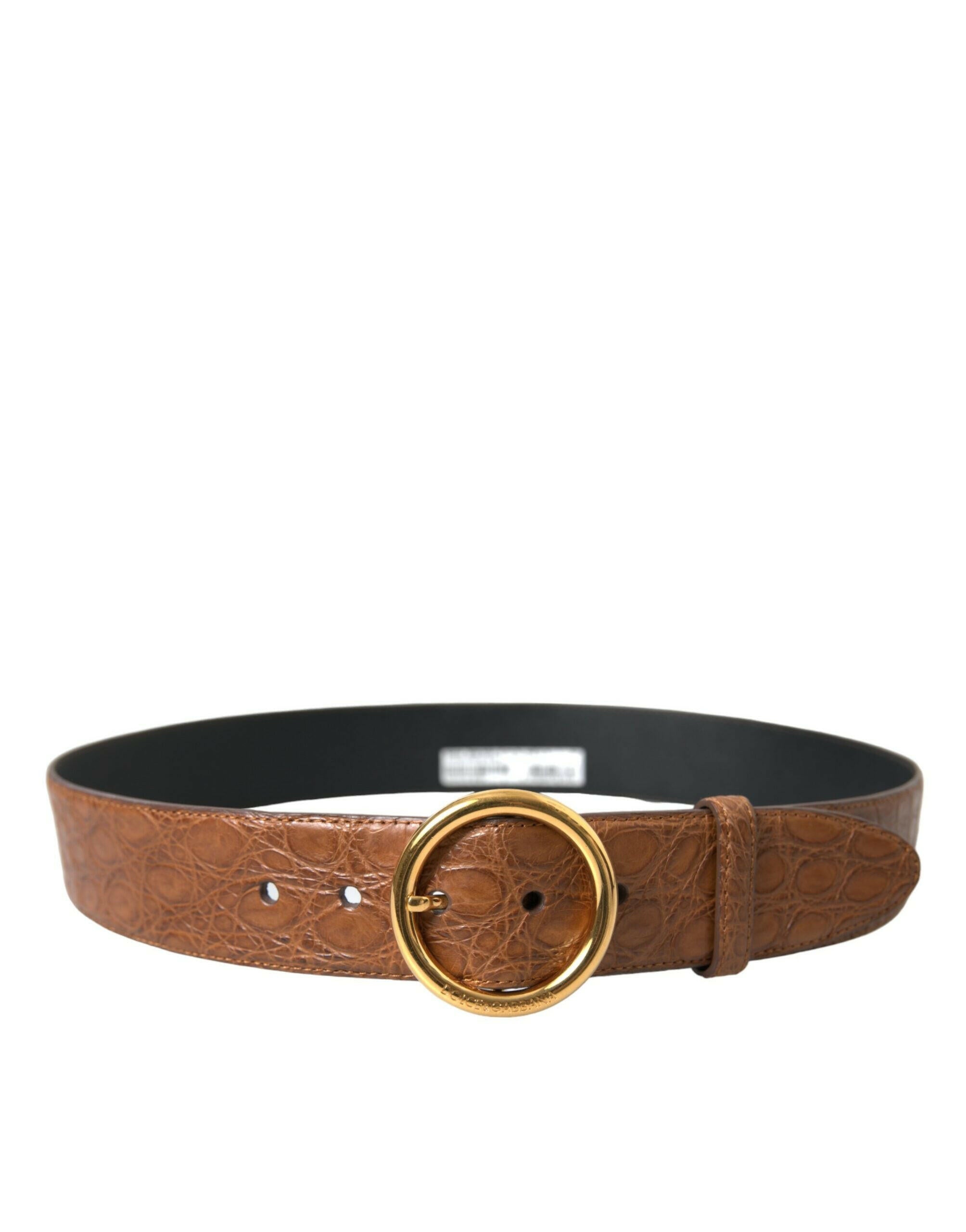 Dolce & Gabbana Brown Exotic Leather Round Buckle Belt -   -  Dolce & Gabbana.