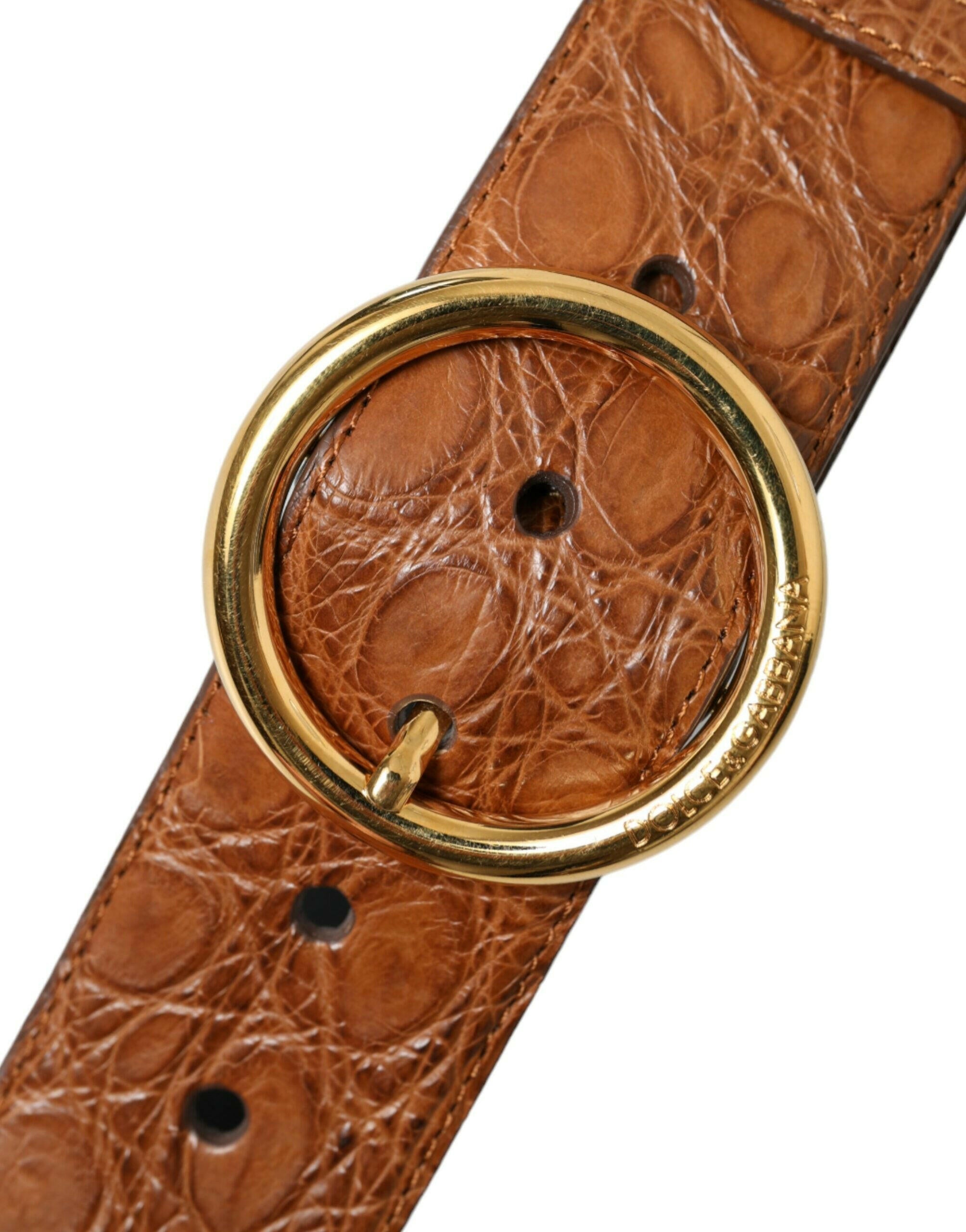 Dolce & Gabbana Brown Exotic Leather Round Buckle Belt -   -  Dolce & Gabbana.