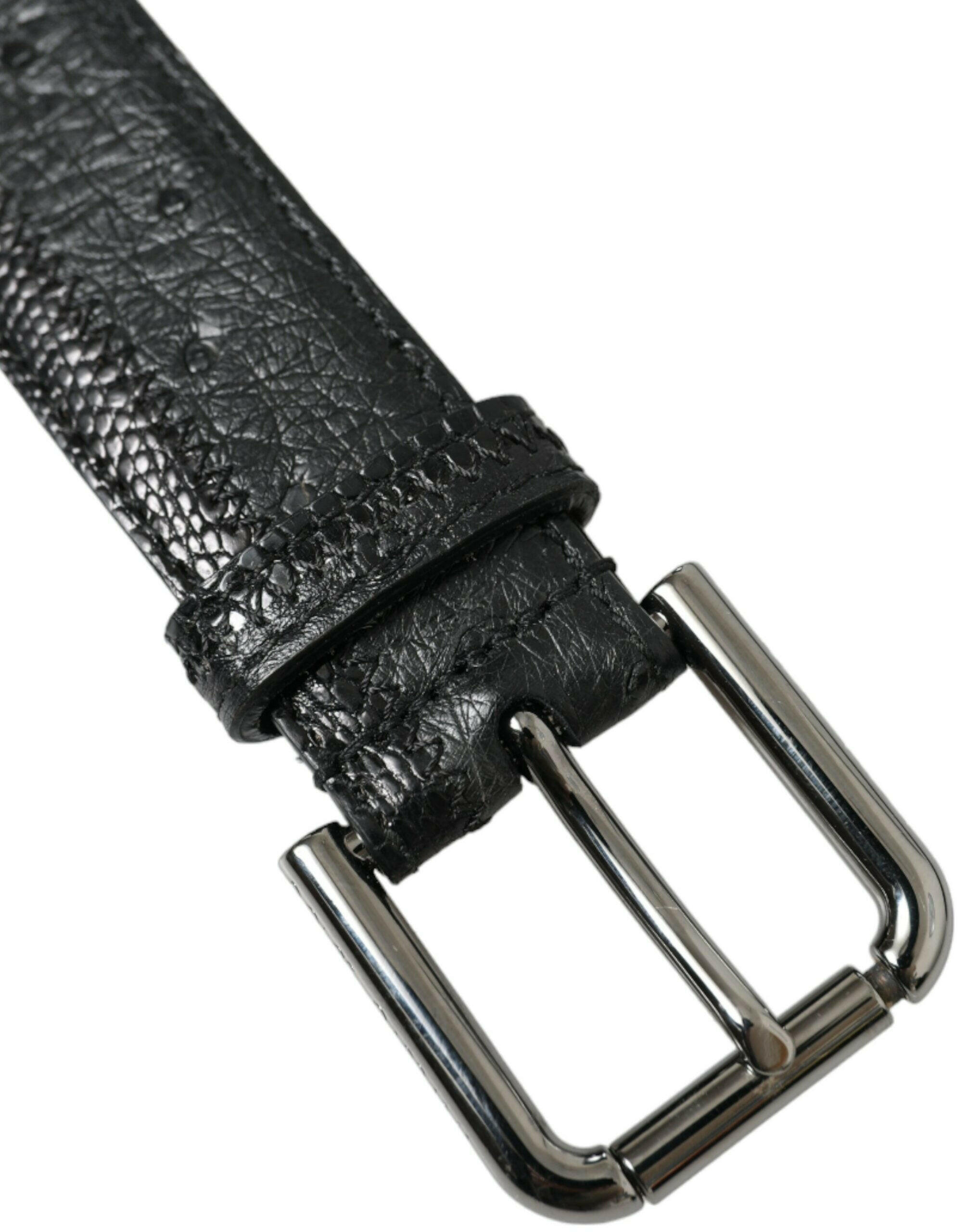 Dolce & Gabbana Black Exotic Leather Silver Metal Buckle Belt -   -  Dolce & Gabbana.