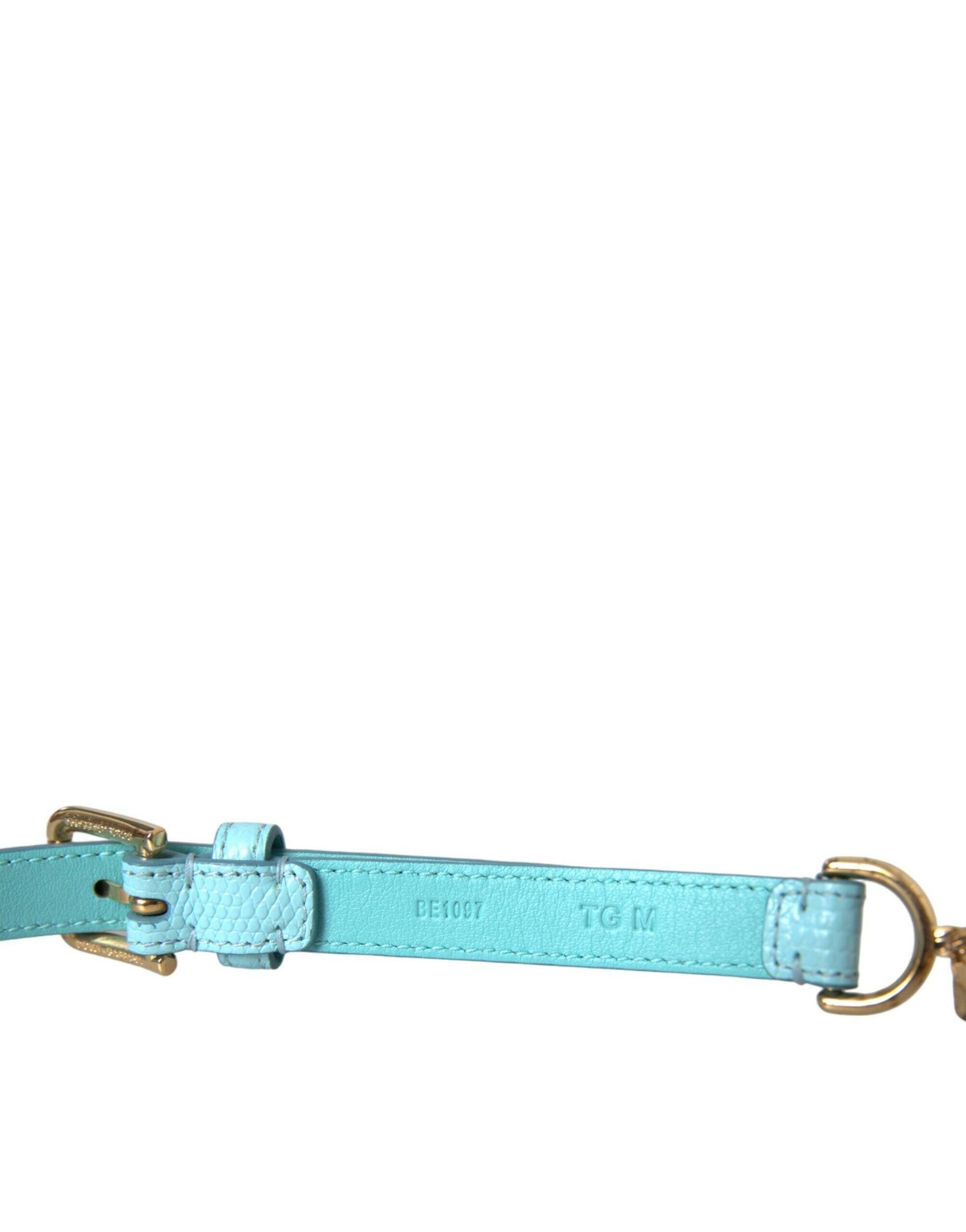 Dolce & Gabbana Light Blue Leather Crystal Chain Waist Belt -   -  Dolce & Gabbana.